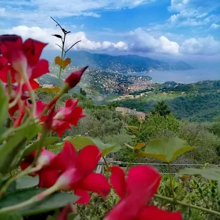 Paradise 4-Bed House Santa Margherita - Portofino Сasa de vacaciones